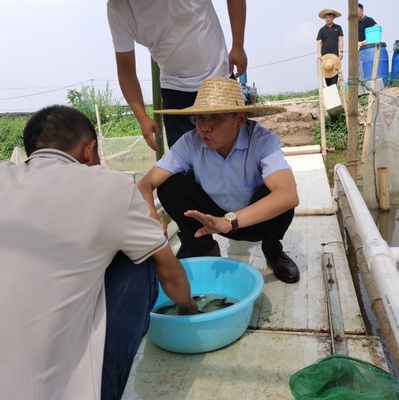九江市農(nóng)業(yè)科學院赴廣東考察學習飼料鱖魚養(yǎng)殖及工廠化循環(huán)水養(yǎng)殖技術